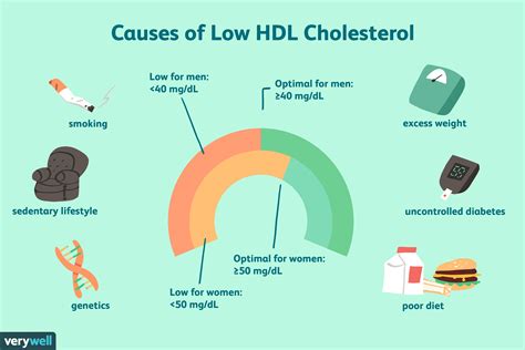 colesterol hdl bajo causas